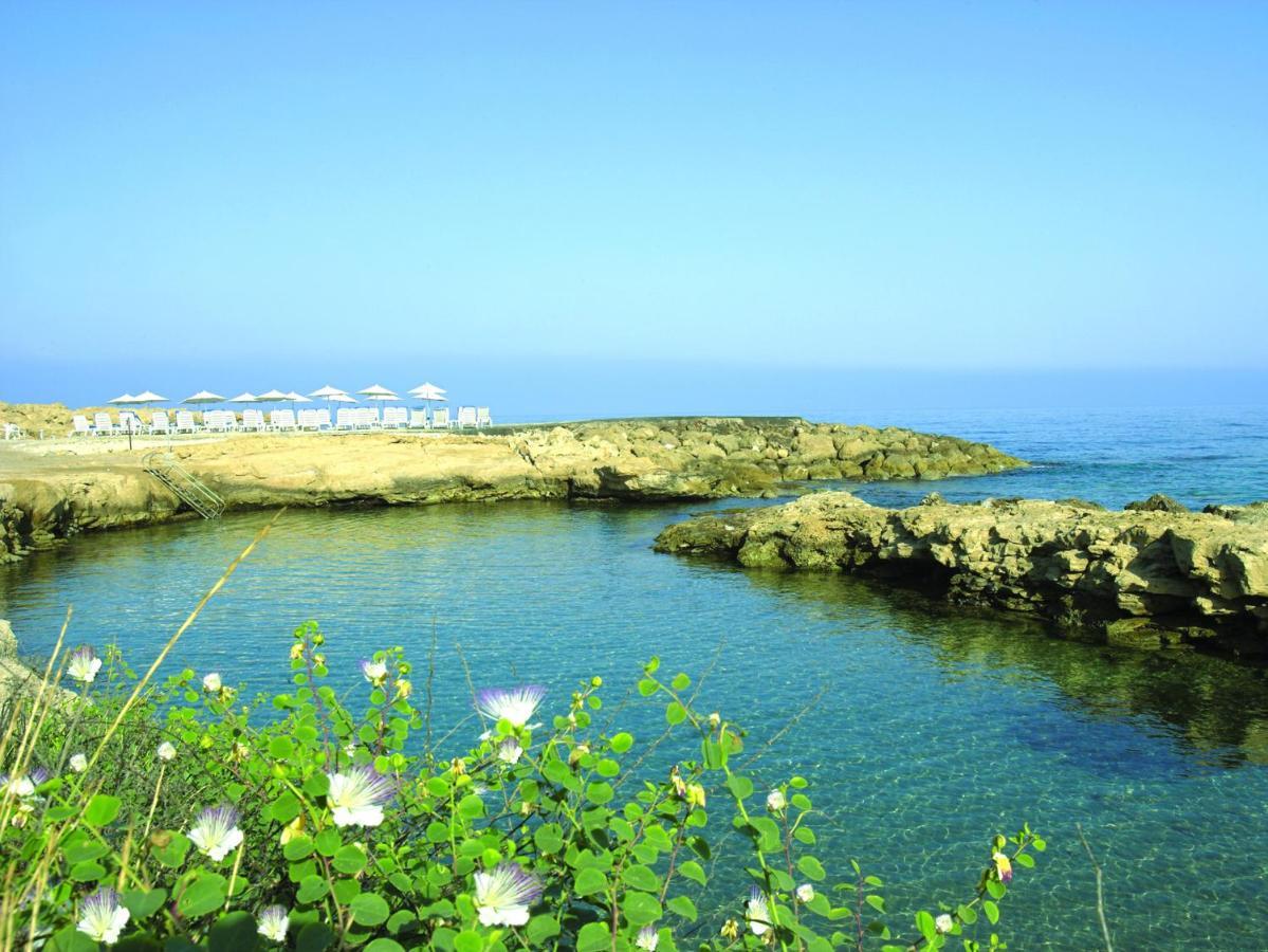 Cynthiana Beach Hotel Kissonerga Instalações foto